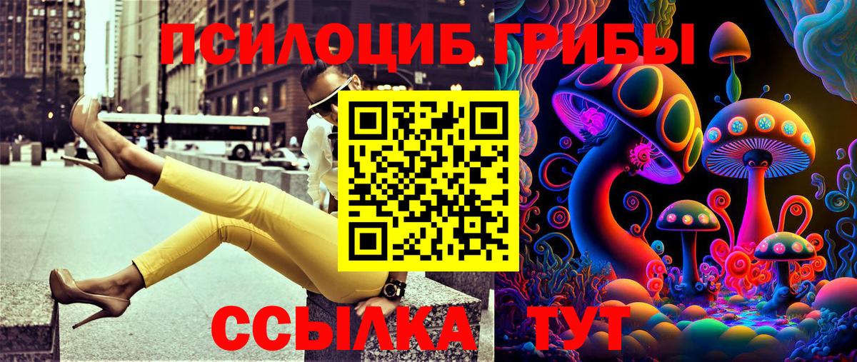 Ртищево  Галлюциногенные грибы Magic Shrooms  Вход с VPN 